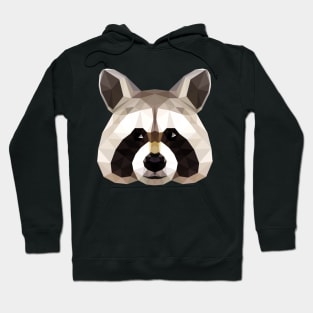 Raccoon Polygon Head Geometric Animals Geometry Hoodie